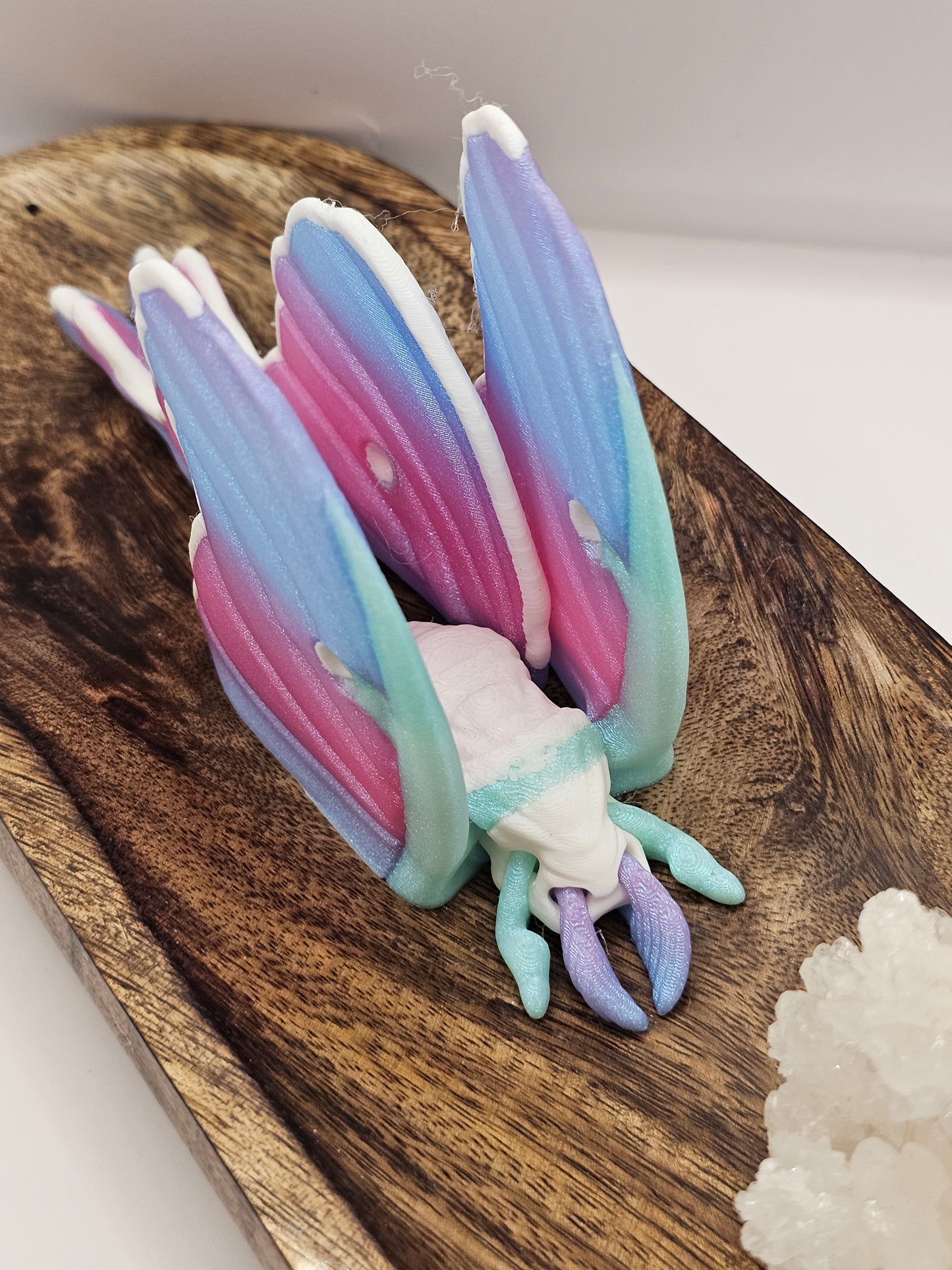 Moth 3D Printed Figurine/Decor/Fidget Beautiful Pink, Blue, Mint Green