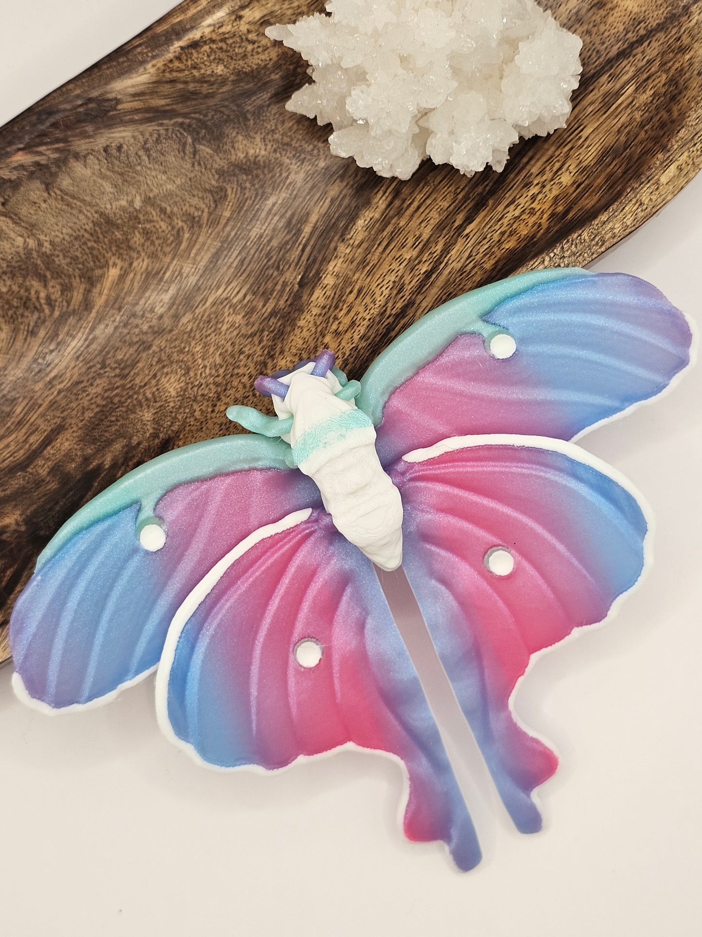 Moth 3D Printed Figurine/Decor/Fidget Beautiful Pink, Blue, Mint Green