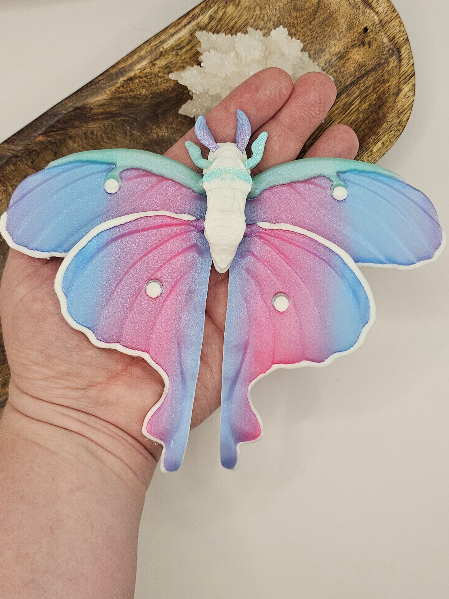 Moth 3D Printed Figurine/Decor/Fidget Beautiful Pink, Blue, Mint Green